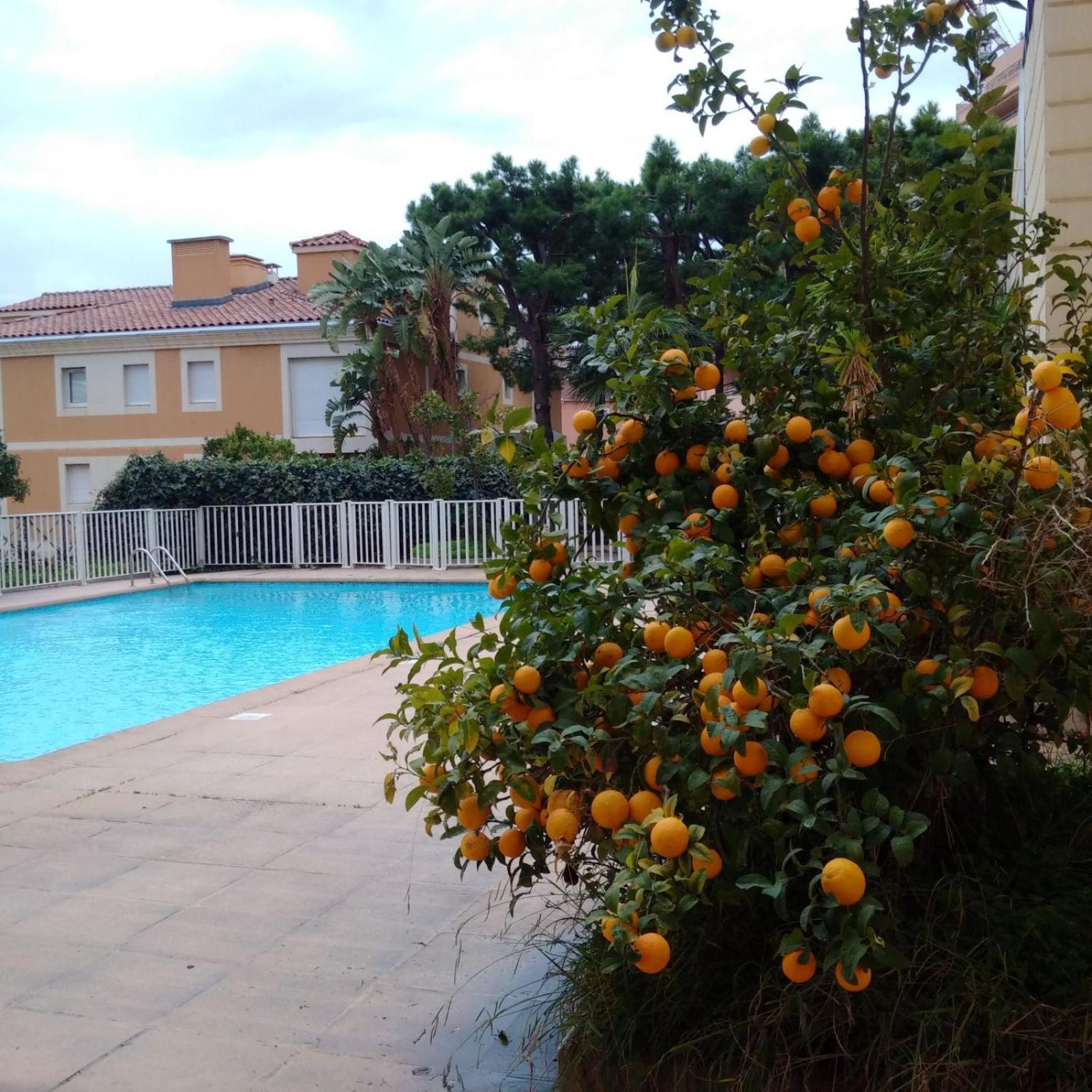 Direct Monaco Studio Devant Piscine Бюсолей Екстериор снимка